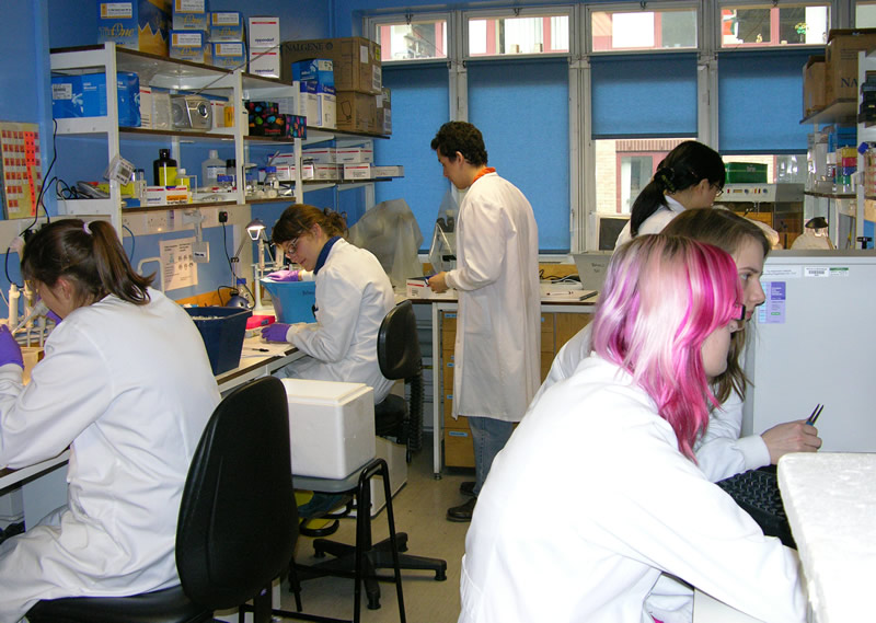 blue lab 2009