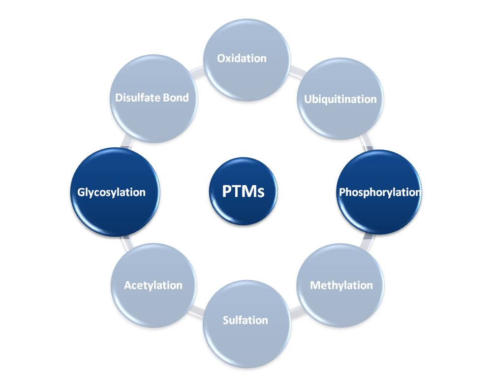 PTM_updated
