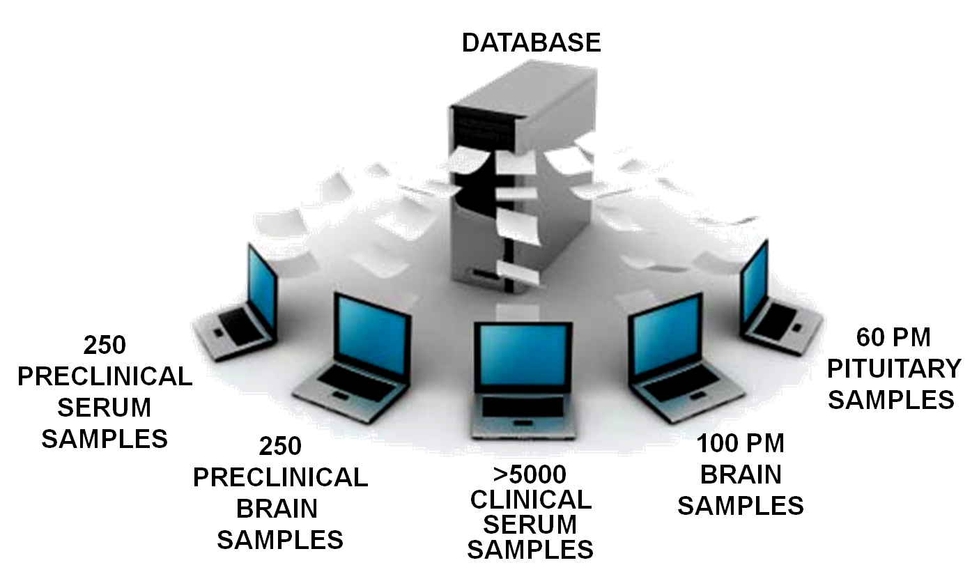 Database